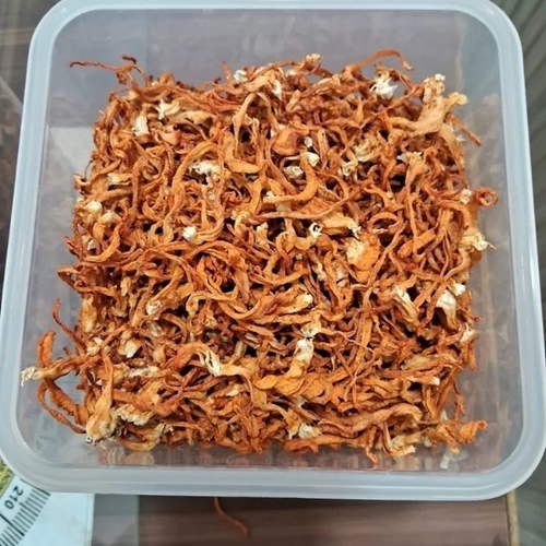 Dried Cordyceps
