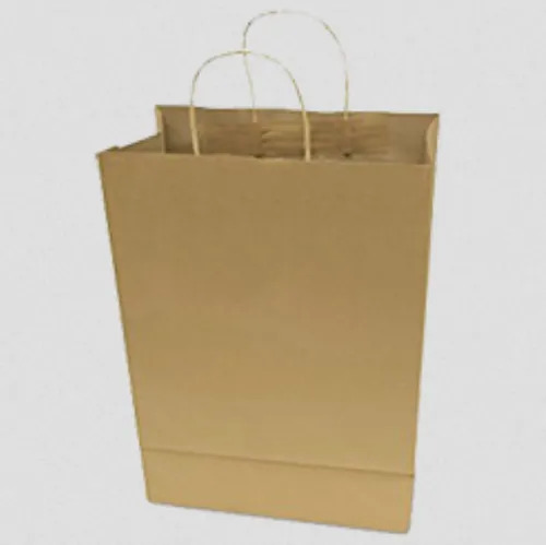Plain Paper Shopping Bag