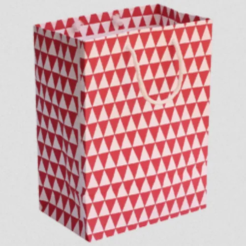 Stylish Paper Shopping Bag
