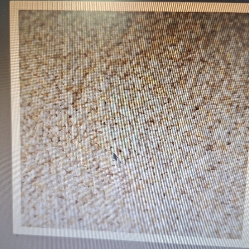 Amaranth ramdana