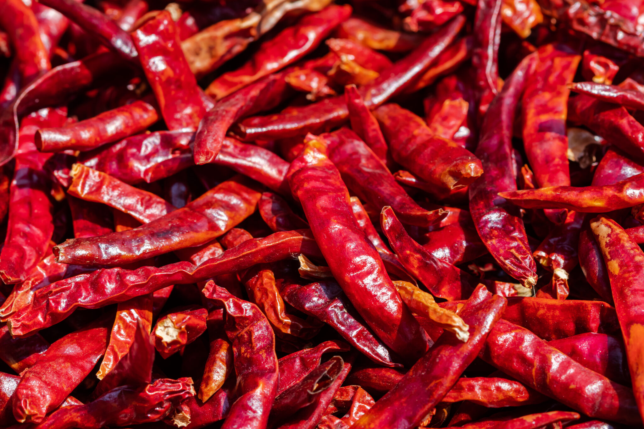 Dry Red Chilli - Grade: Export