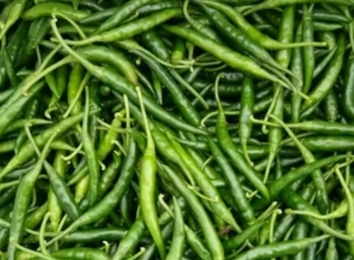 Fresh Green Spicy Chilli