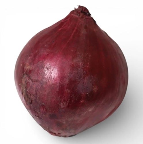 Rajhasthan Onion