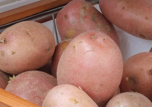 Red Potato
