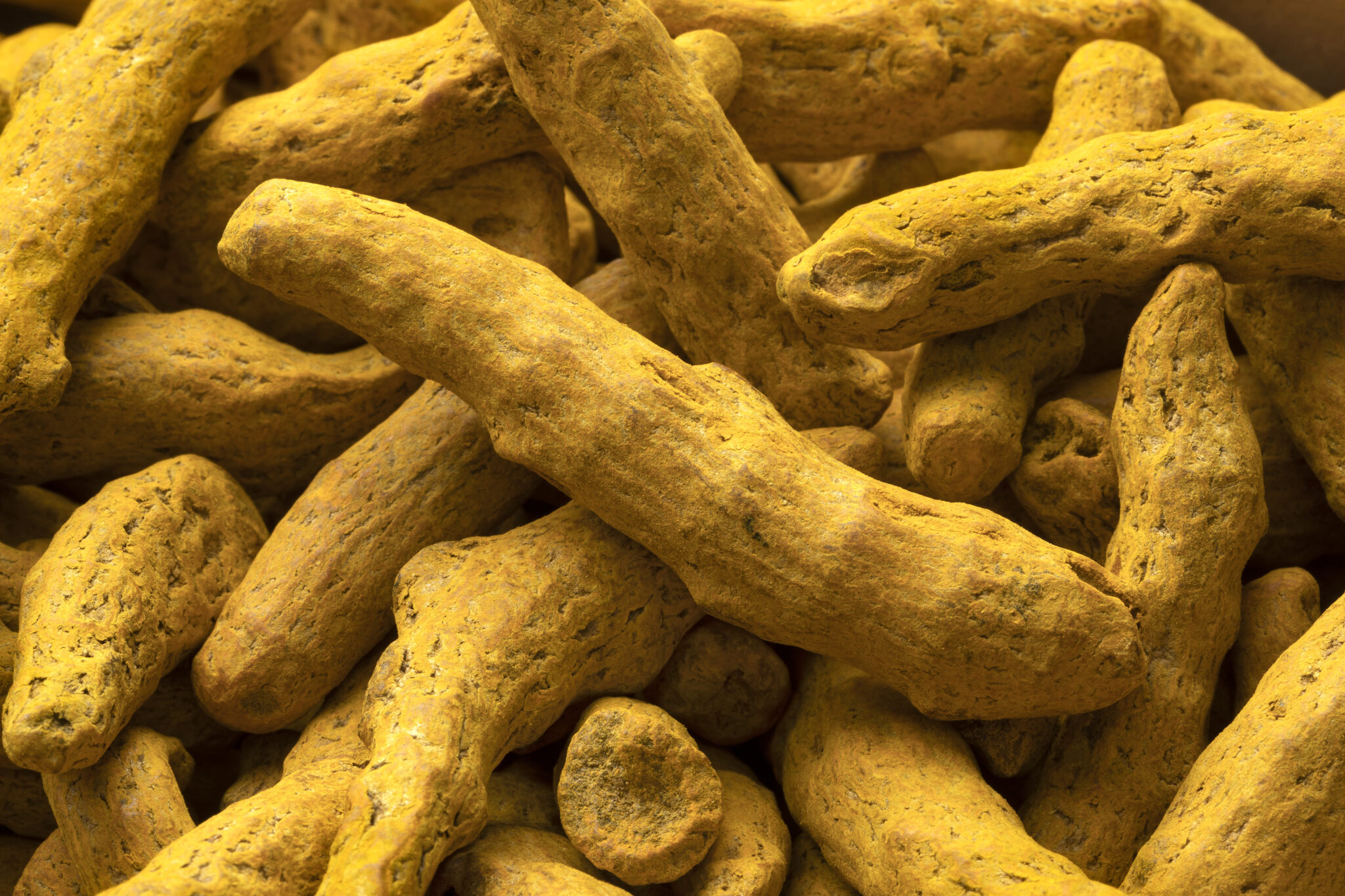 Turmeric Finger - Color: Natural Yellow