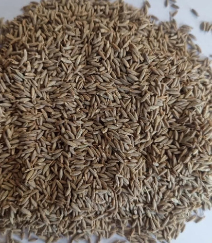 99% Singapore Cumin Seeds - Organic Brown Whole | FSSAI Certified, 12 Months Shelf Life, A Grade, 99% Purity