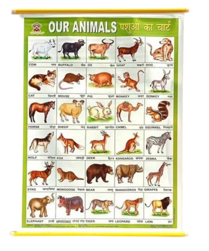 Animals Name Teaching Chart
