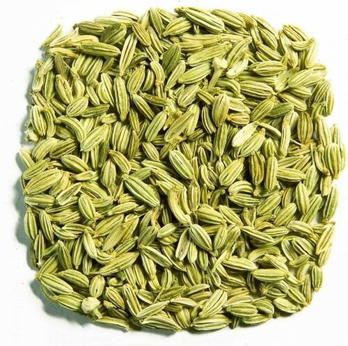 Green Dried Fennel Seed