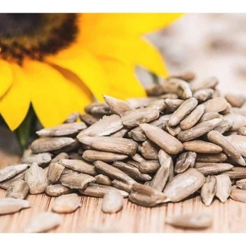 Sunflower Seed