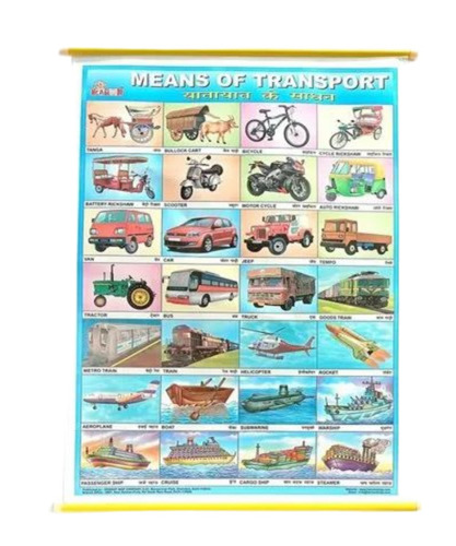 Transport Name Teaching Chart