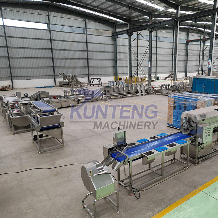 Fully Automatic Food Frying Machine - Capacity: 1-10 Ton