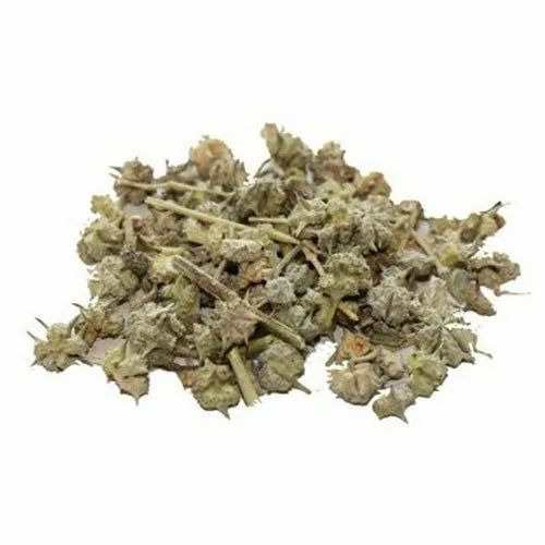 Gokhru Herb - 1 Kg Packet, Dried | 99.9% Purity, Medicine Usage