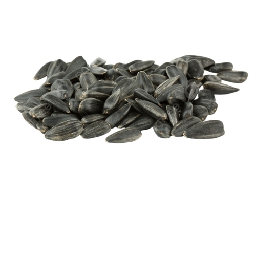 Gold Hybrid Sunflower Seeds