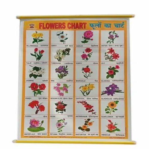 Flowers Name Teaching Chart