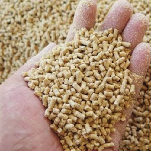 Chicken Feed