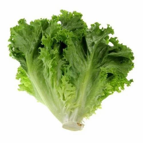 Natural Green Lettuce
