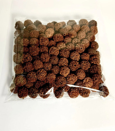 13 Mm 5 Mukhi Rudraksha Beads For Pendant
