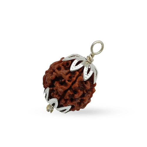 13 mm 5 Mukhi Rudraksha Beads With Capping