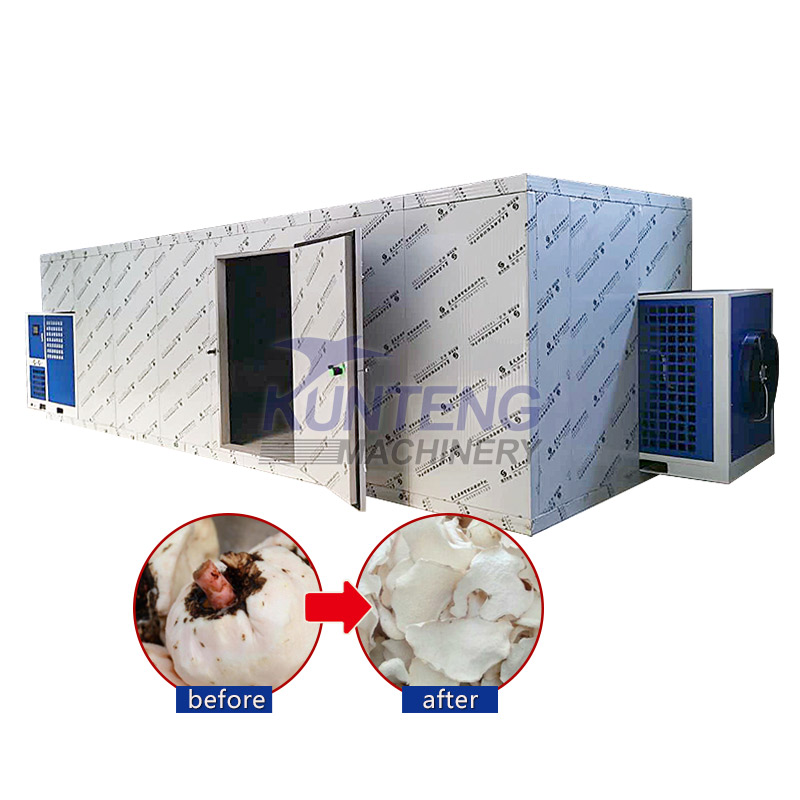 Mushroom Coconut Lemon Slices Food Dryer - Color: Customized