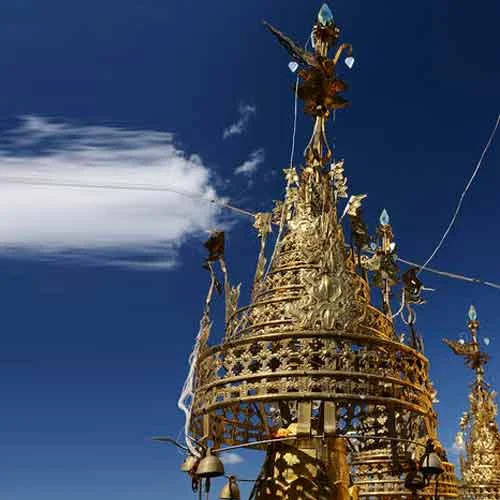 Temple Umbrellas