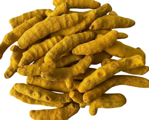 Salem Turmeric Finger