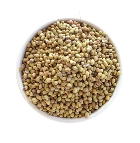 Coriander Seeds