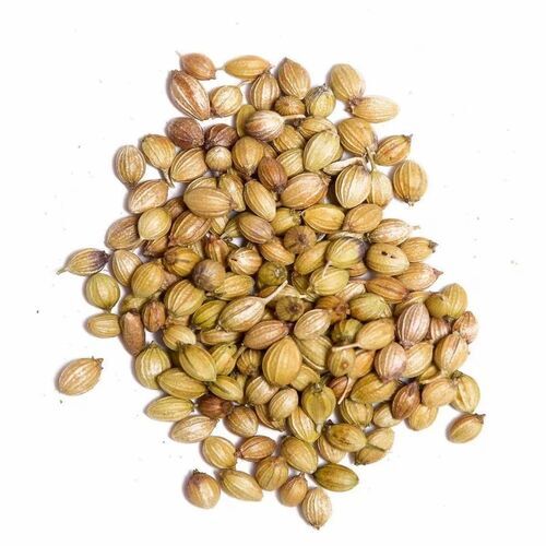 Dried Coriander Seeds