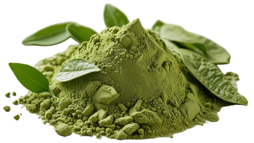 Herbal Moringa Powder - Cultivation Type: Conventional