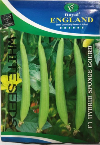 F1 Hybrid Sponge Gourd- White Seed