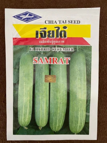 Hybrid Cucumber Seed
