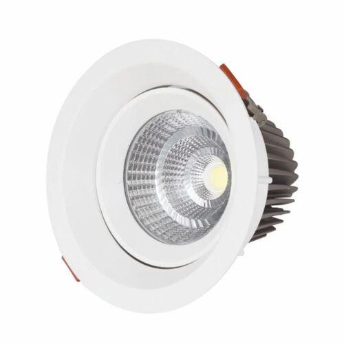 30w Cob Led Downlight