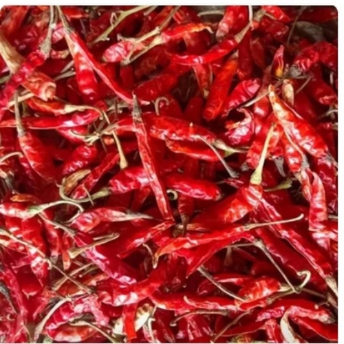 Red Chili