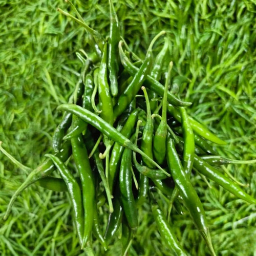A Grade G4 Green Chilli