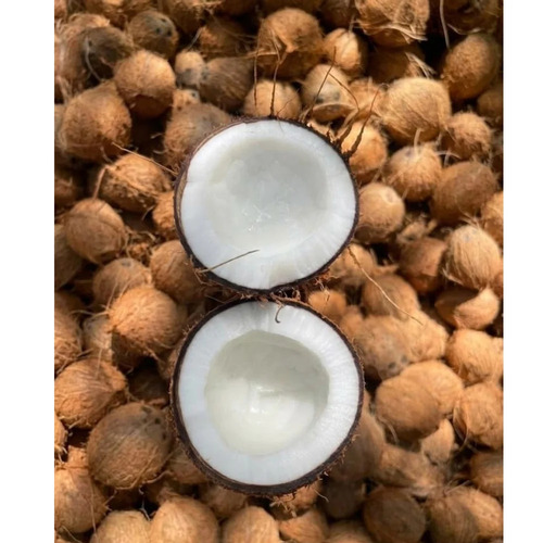 A Grade Semi Husked Coconut
