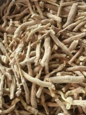 Ashwagandha Roots - Age Group: For Adults