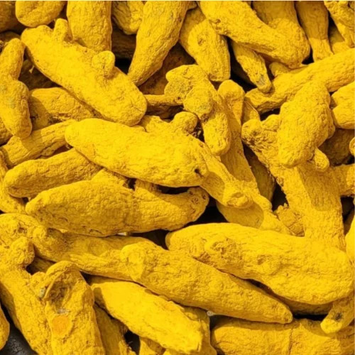 Double Polished Salem Turmeric Finger