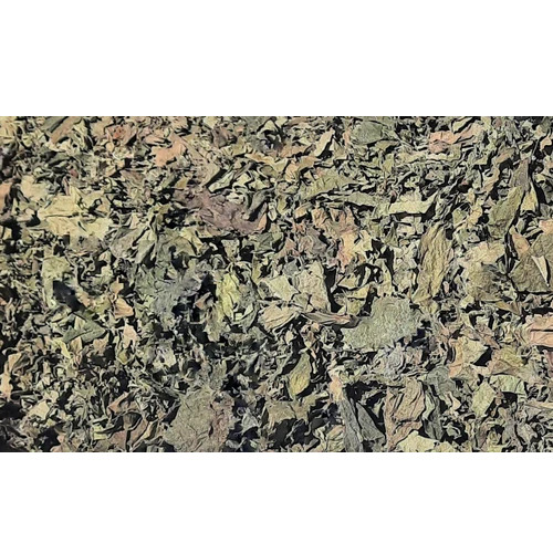 Dried Betel Leaves Fresh