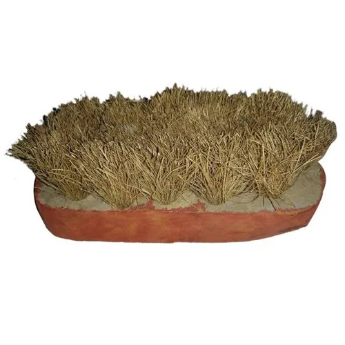 2 Inch Coconut Coir Brush