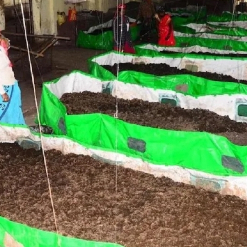 Village Green 100% Organic Vermi Compost - Brown Granular Vermicompost, Chemical Free, High Microbial Activity, Sustainable Fertilizer