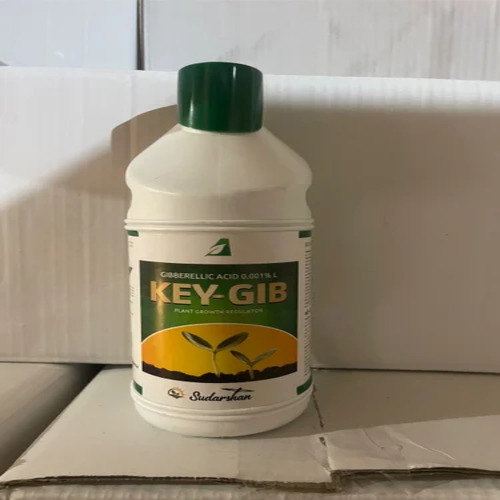 Key-Gib Gibrellic Acid 0.001% L Plant Growth Regulator