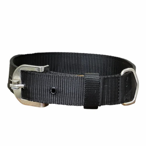 Black Dog Collar