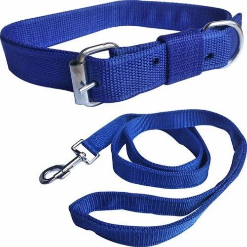 Blue Collar Dog Leash Set