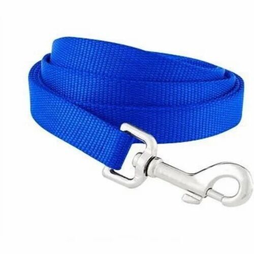 Dog Leash
