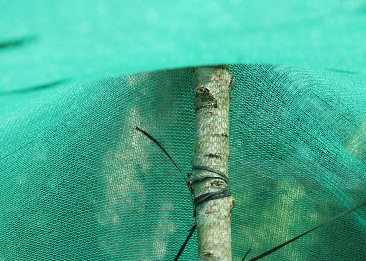 Green Net - Features: Provides Uniform Shading And Helps Regulate Temperature And Air Circulation In Greenhouses And Nurseries Lightweight