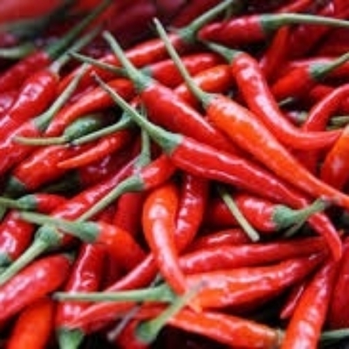 Red Chili