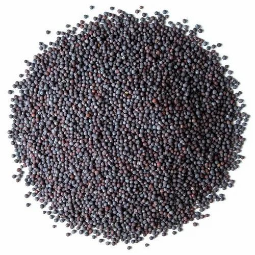 Black Mustard Seed