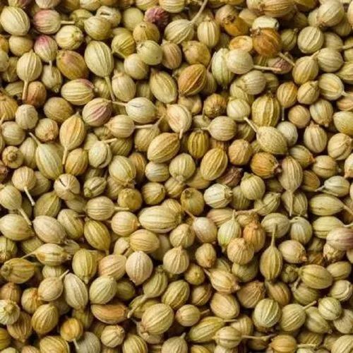 Dry Coriander Seed - Natural Dried Brown, 50kg | Grade A, 8% Moisture, 100% Purity