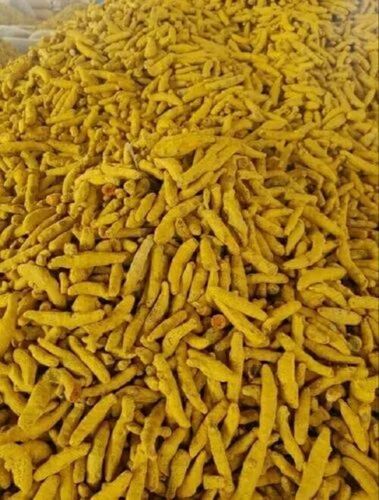 Dry Turmeric Finger
