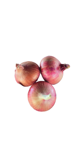 Fresh Red Onion