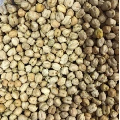 Chick Pea